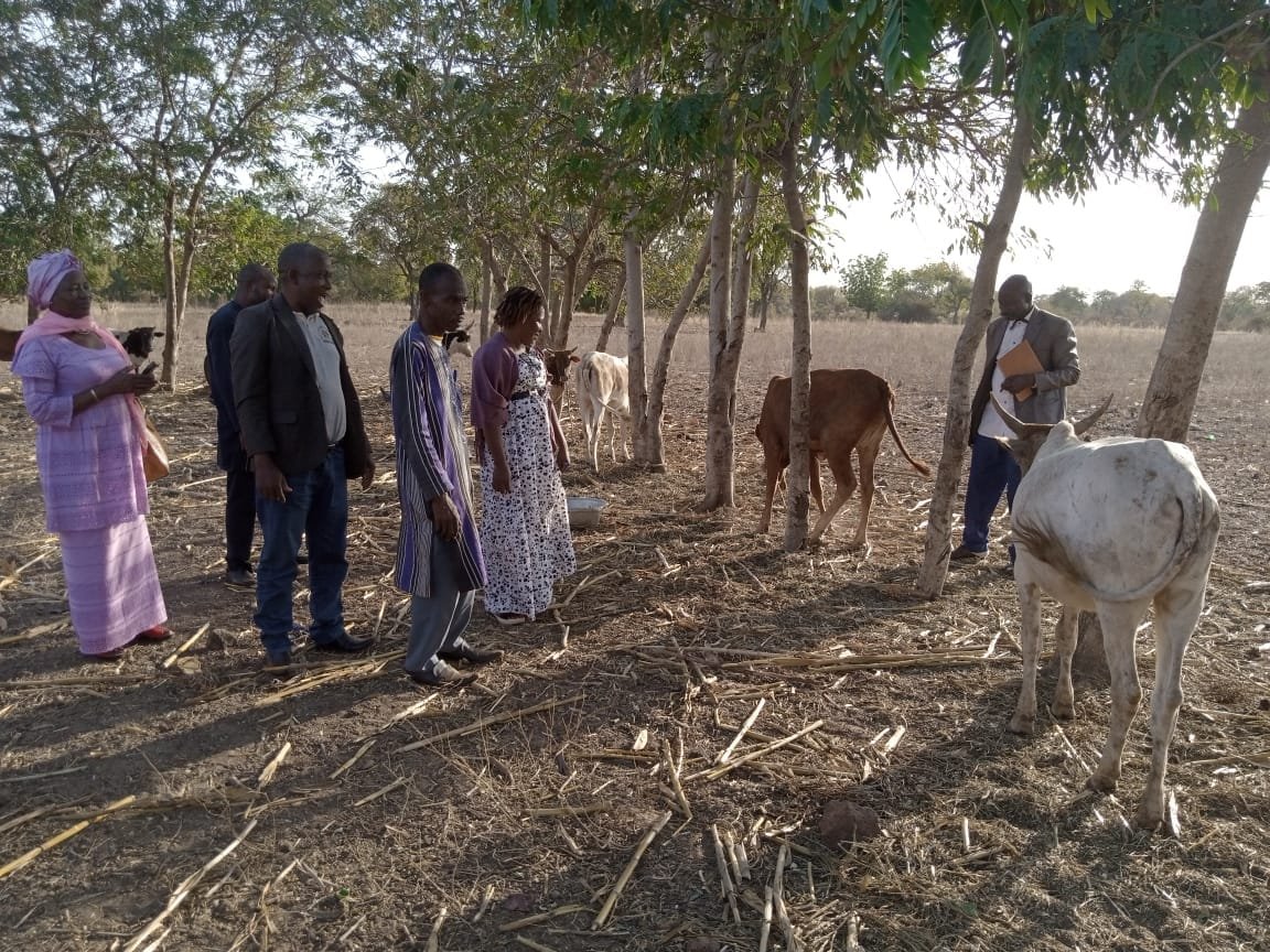 Professionnalisation de la filière